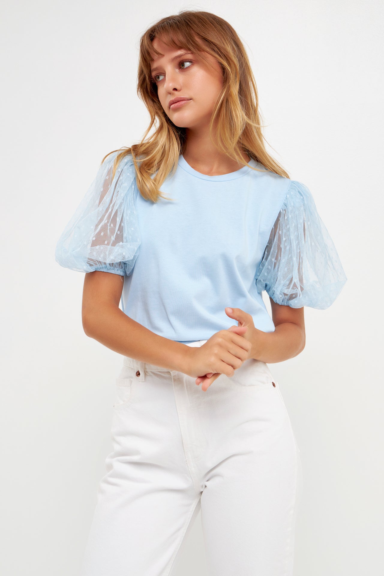 Mesh Dot Puff Sleeve Top