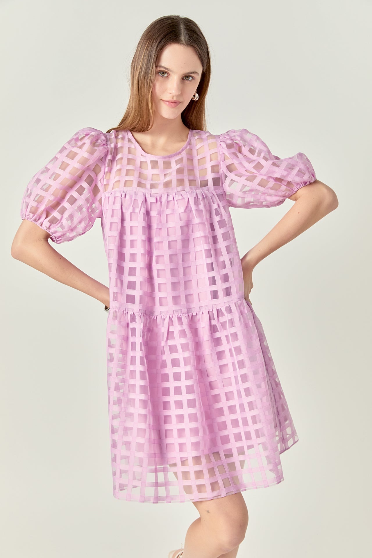 Gridded Organza Mini Dress