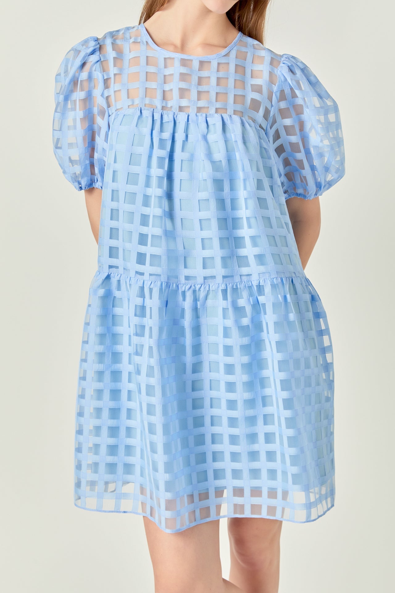 Gridded Organza Mini Dress