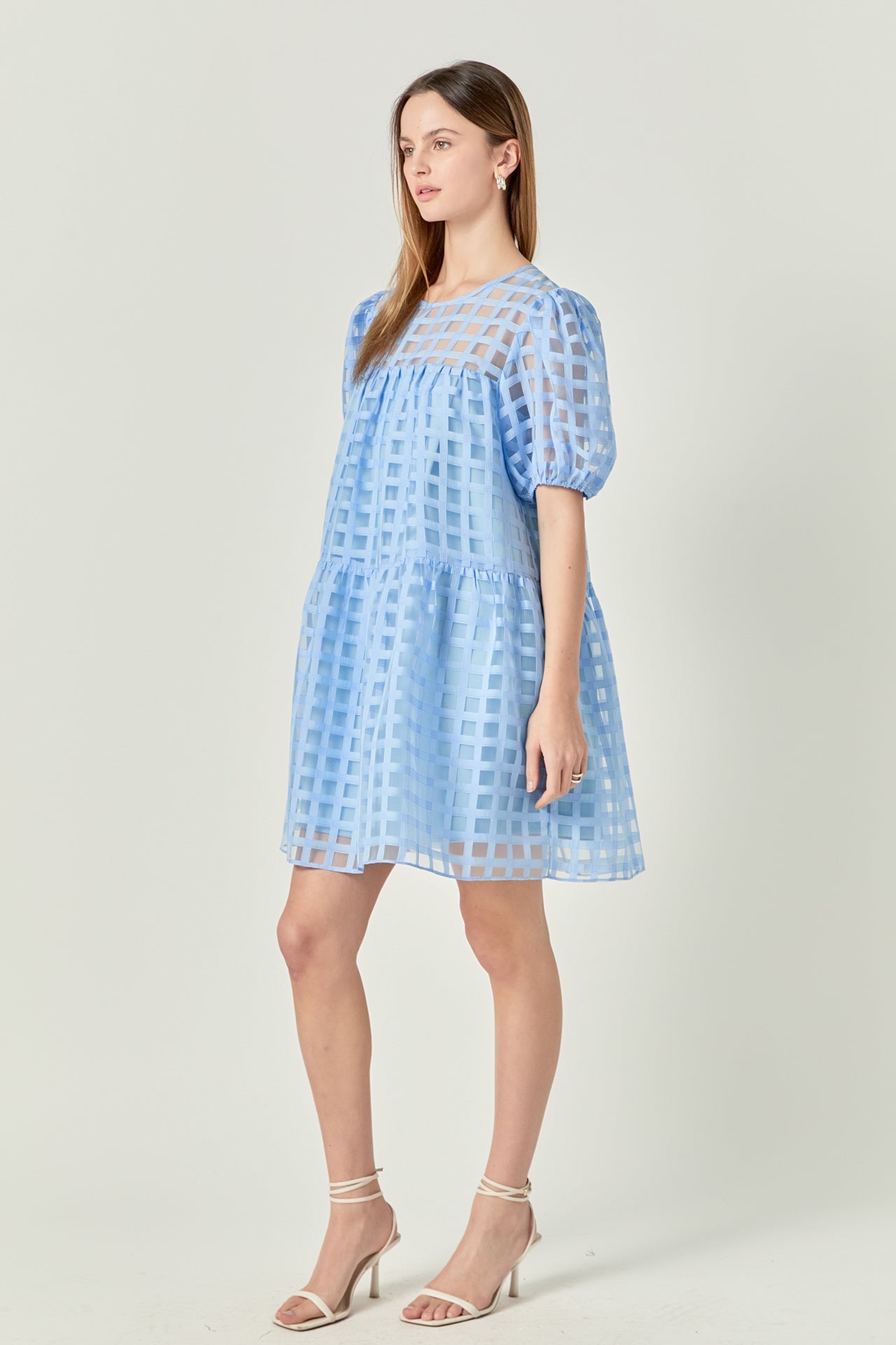 Gridded Organza Mini Dress