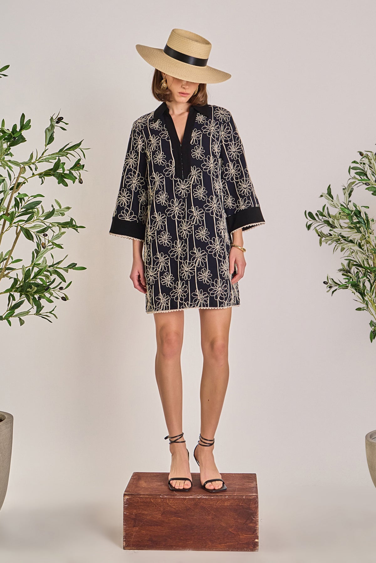 Floral Embroidered Collar Mini Dress