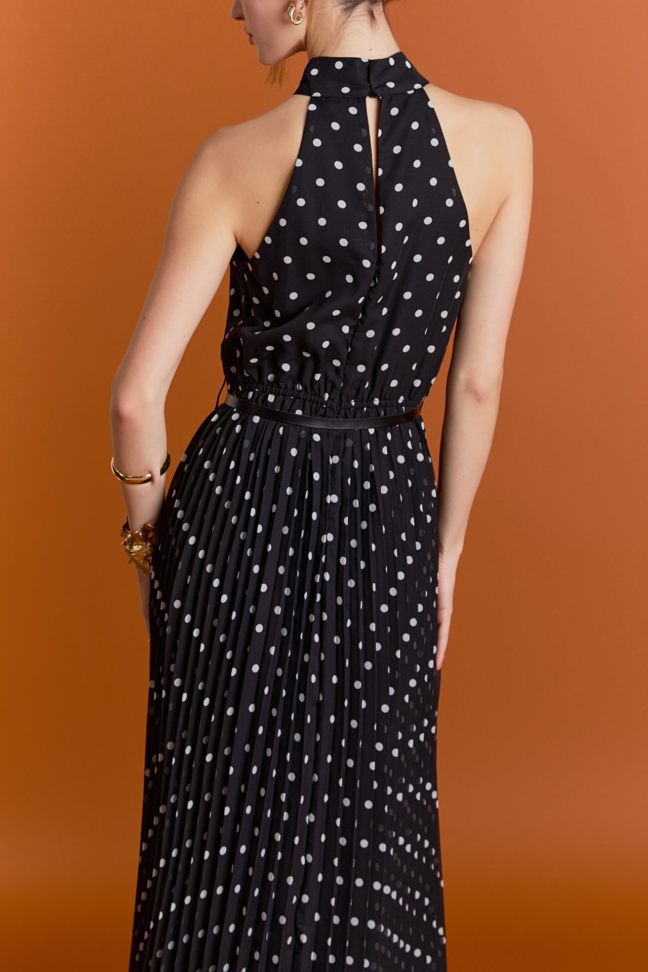Zoe Polka Dot Pleated Midi Dress