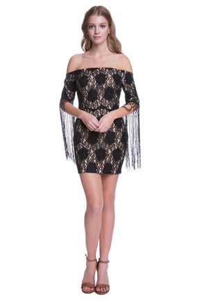 Fringe Sleeve Lace Dress