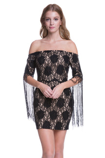 Fringe Sleeve Lace Dress