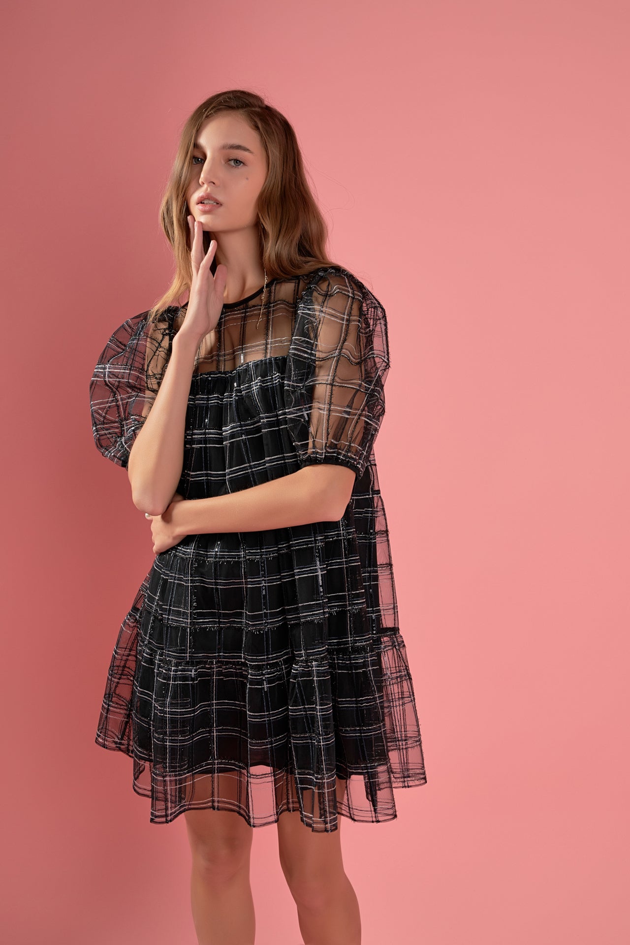 Embroidered Mesh Puff Sleeve Mini Tiered Dress