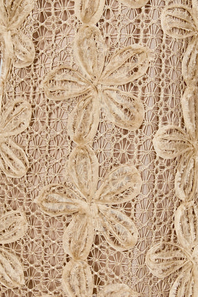 ENDLESS ROSE - Lace Midi Dress - DRESSES available at Objectrare