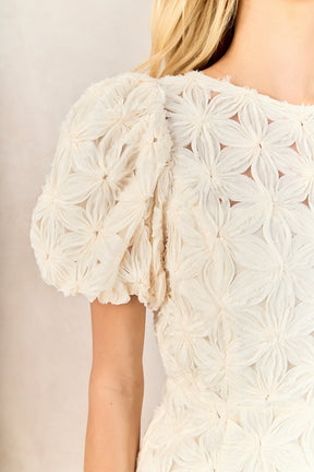 Textured Puff Sleeve Mini Dress