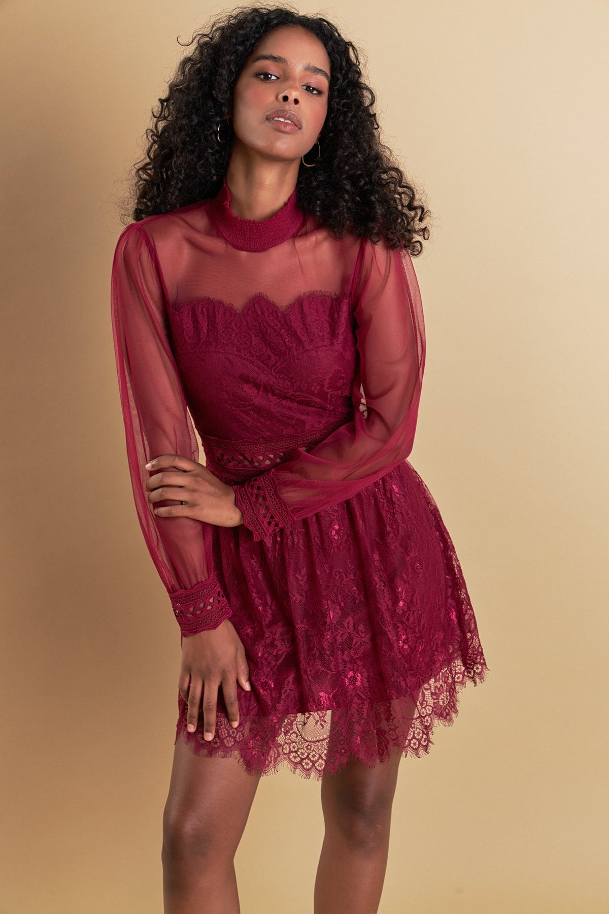 ENDLESS ROSE - Endless Rose - Sheer Long Sleeve Lace Mini Dress - DRESSES available at Objectrare