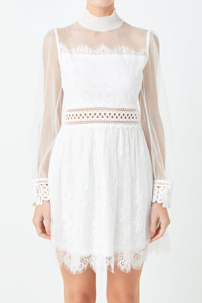Long Sleeve Lace Mini Dress