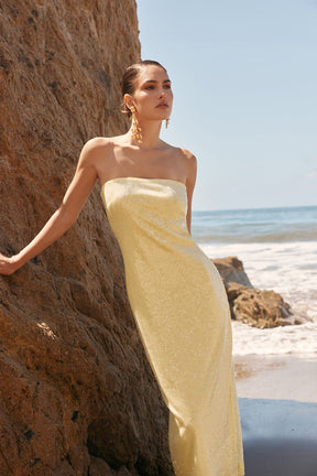 ENDLESS ROSE - Strapless Sequined Maxi Dress - DRESSES available at Objectrare