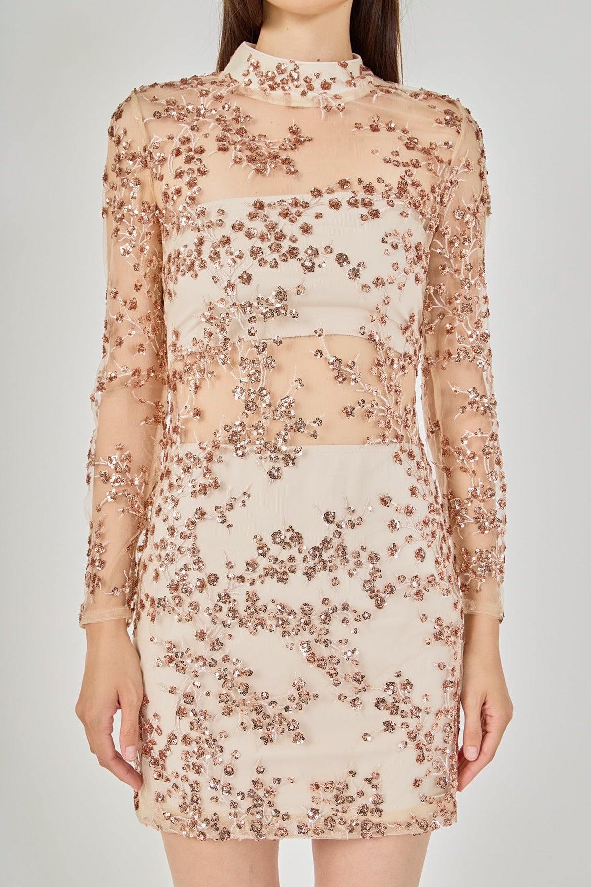Sequins Embroidered Mini Dress