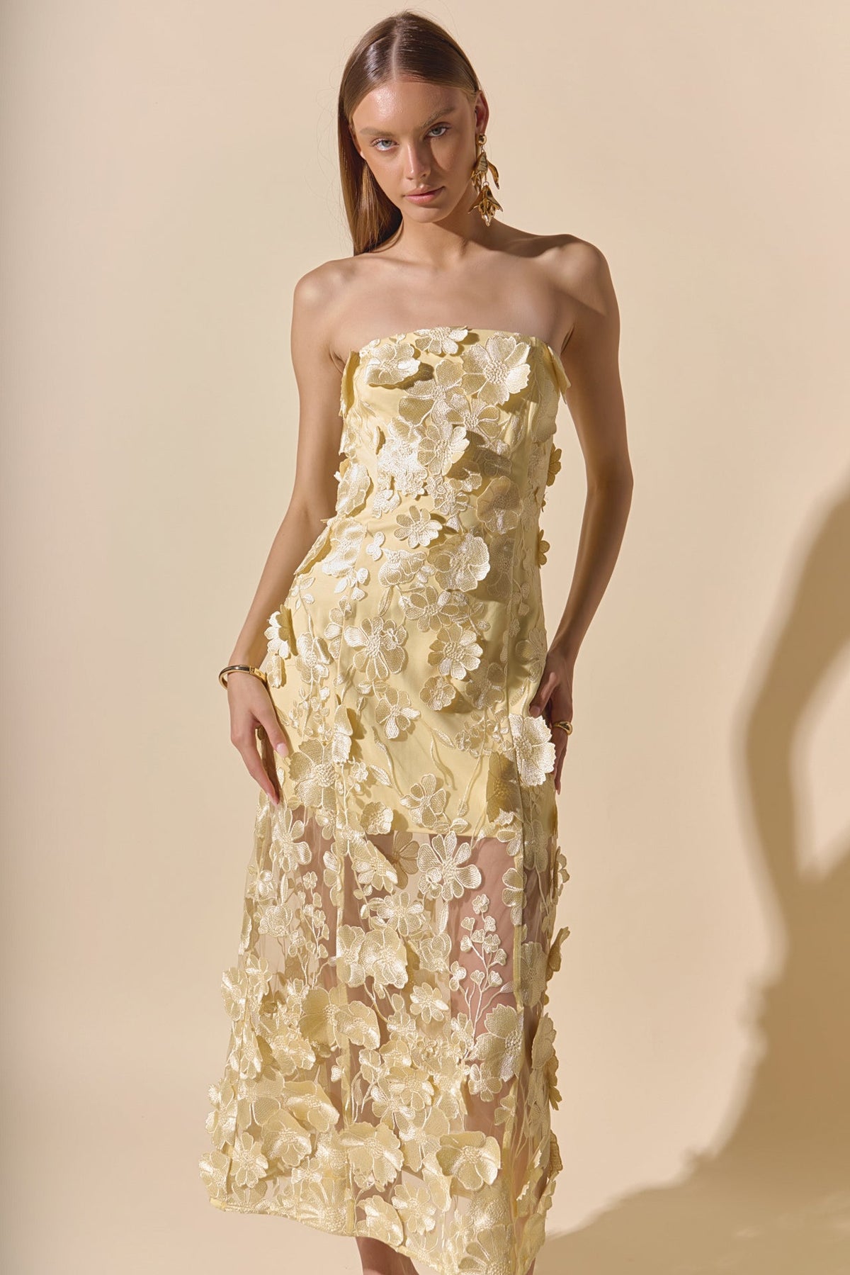 Strapless Floral Embroidered Maxi Dress