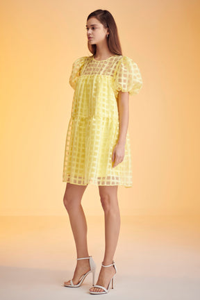 Gridded Organza Mini Dress