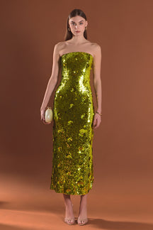 Sequined Applique Midi Dress