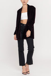 Velvet Blazer
