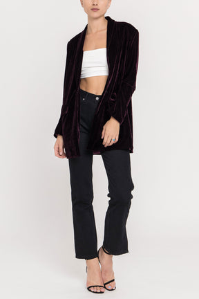 Velvet Blazer