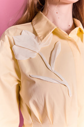 Structured Waist Applique Shirt Dress